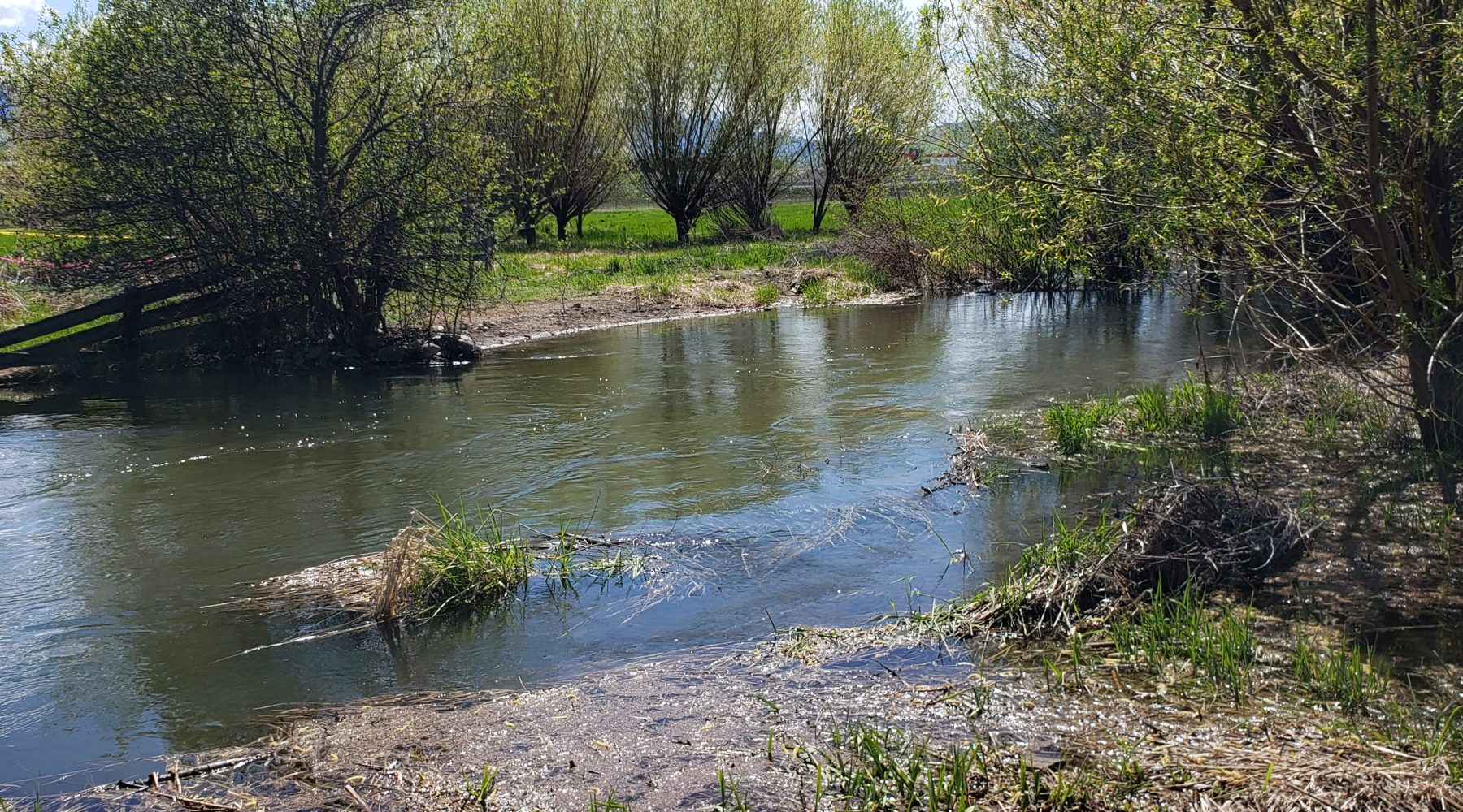 Swan Lake / B.X. Creek Remediation