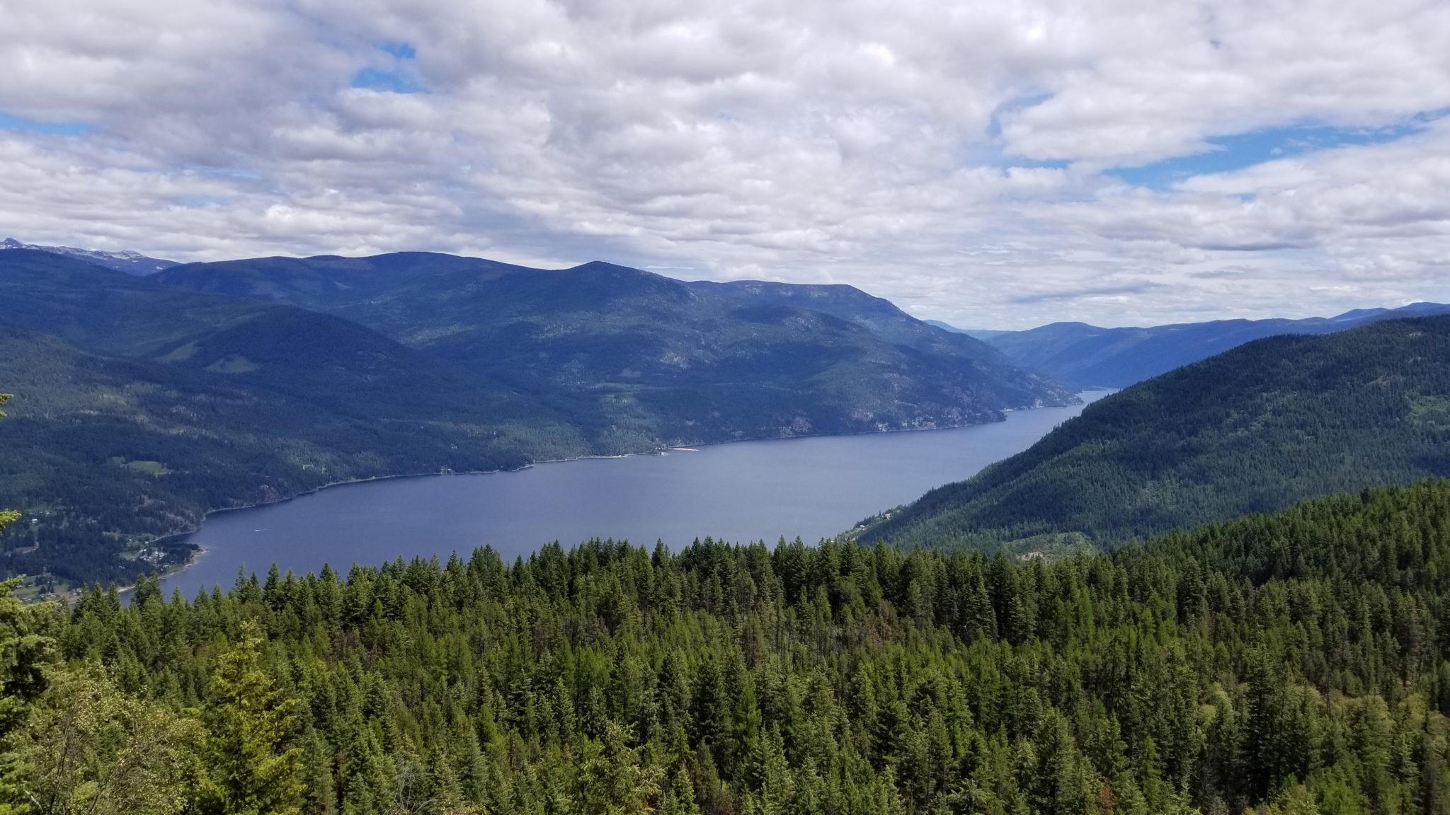 equivalent-clearcut-area-analysis-cabin-works