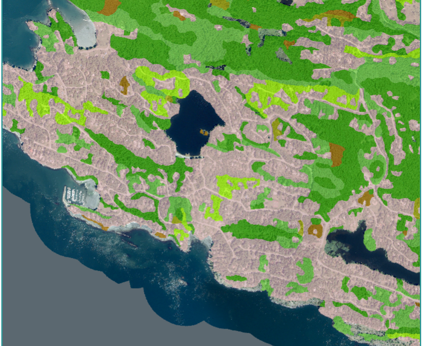 Contiguous Forest Mapping