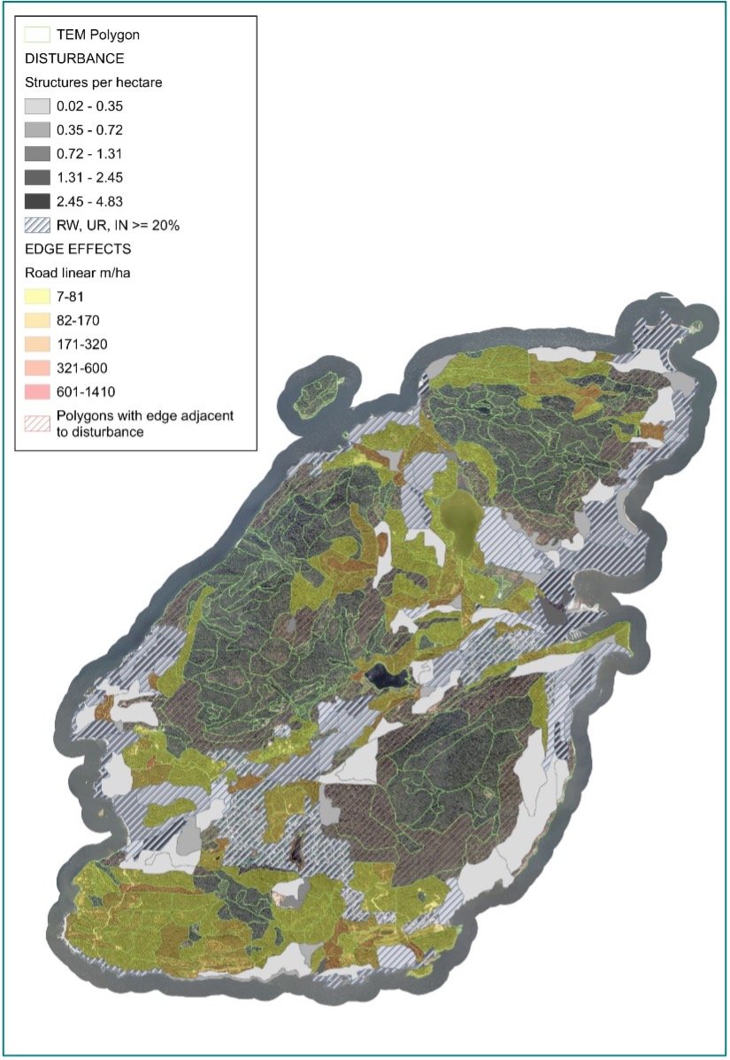 contiguous forest mapping