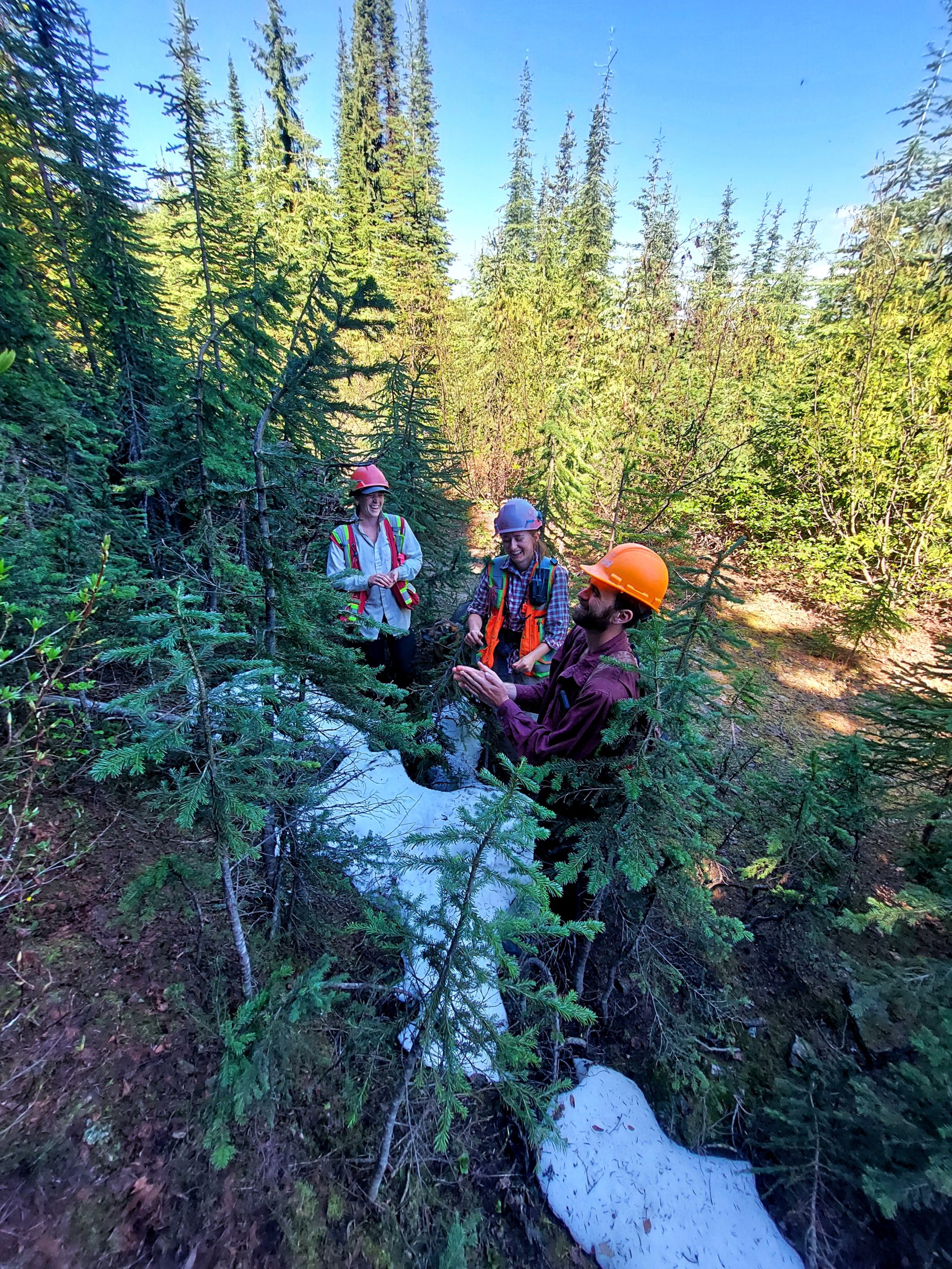 Forestry Careers