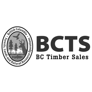 BCTS logo