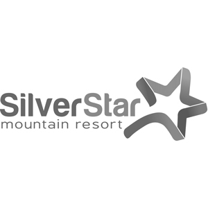 SilverStar logo