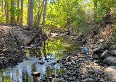 Middle Vernon Creek Restoration