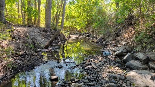 Middle Vernon Creek Restoration