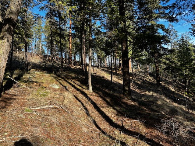 Peachland Fuel Mitigation Treatment