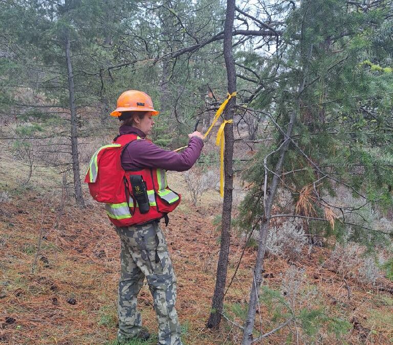 White Lake Fuel Mitigation Prescription