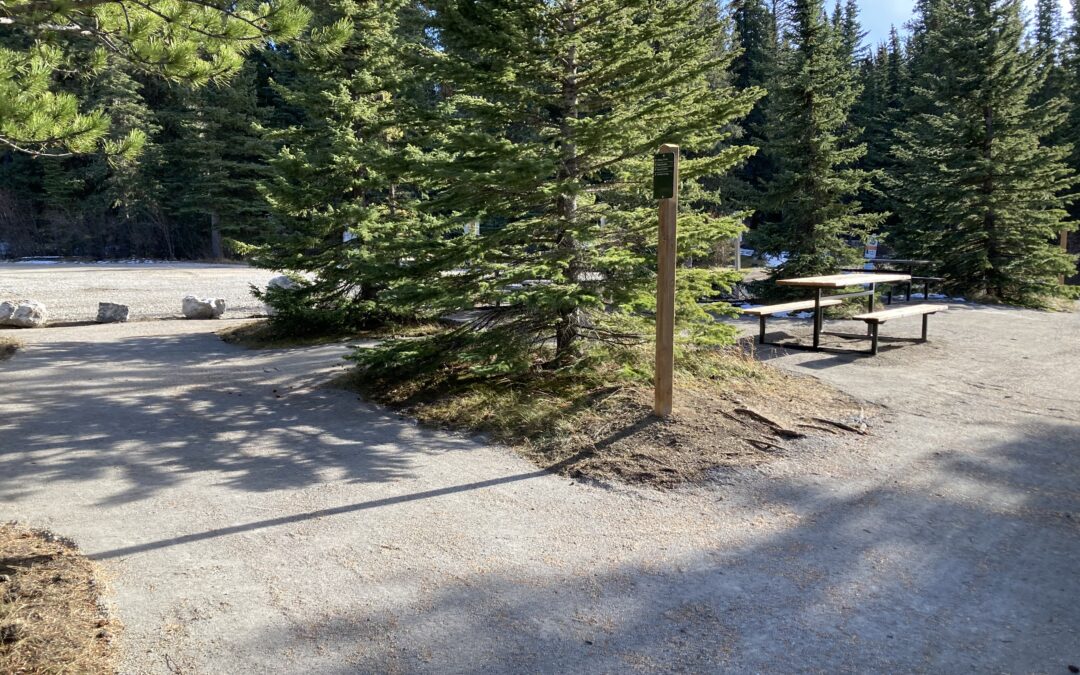 Shunda Lake Trail Upgrades
