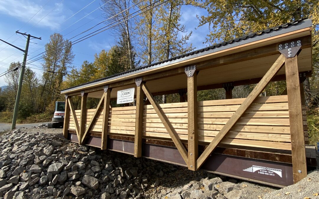 Fernie Pedestrian Bridge