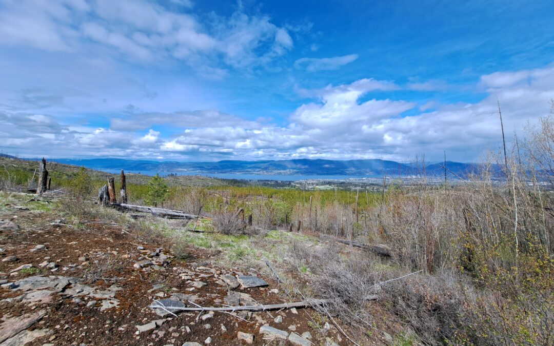 Crawford Trail Audits