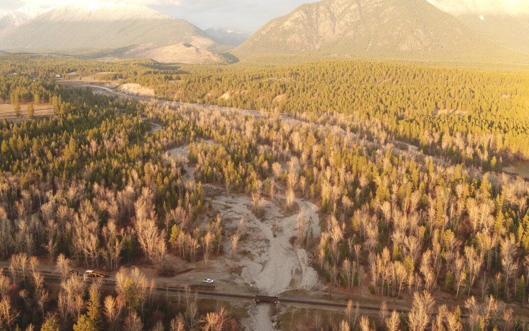 Wildhorse River Restoration
