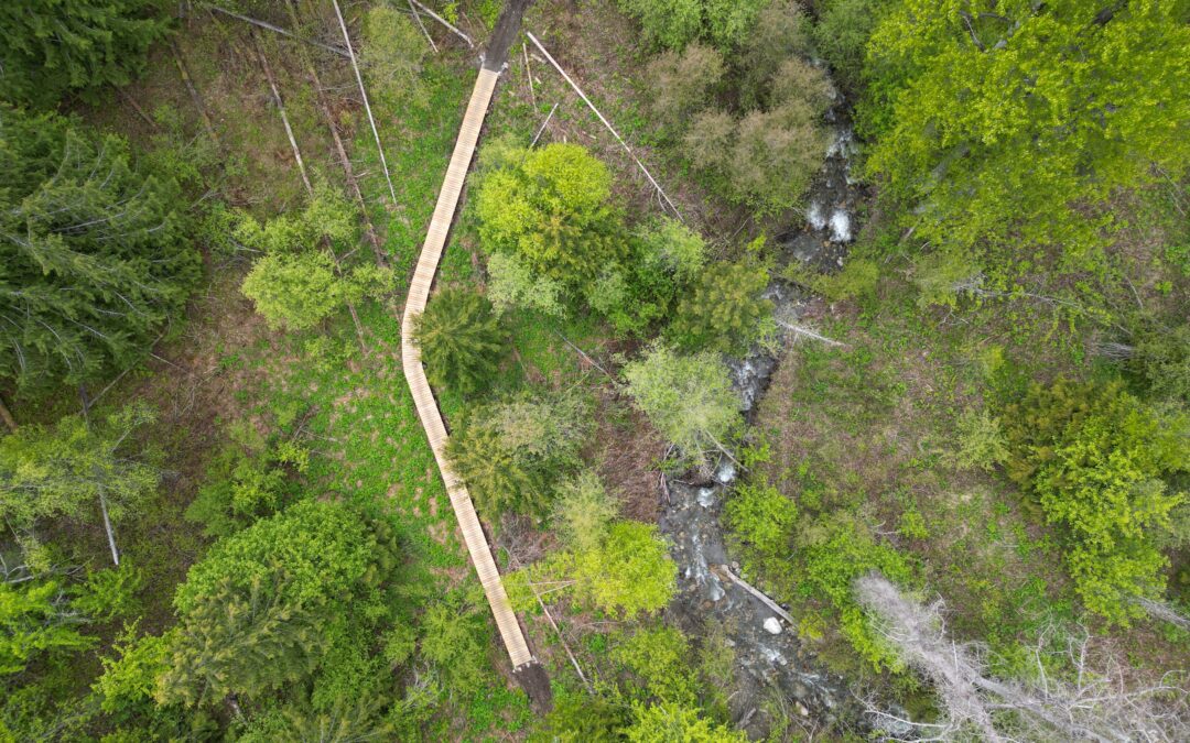 Spanky’s Multi-Use Trail