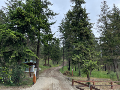 Rose Valley Salvage Logging AOA