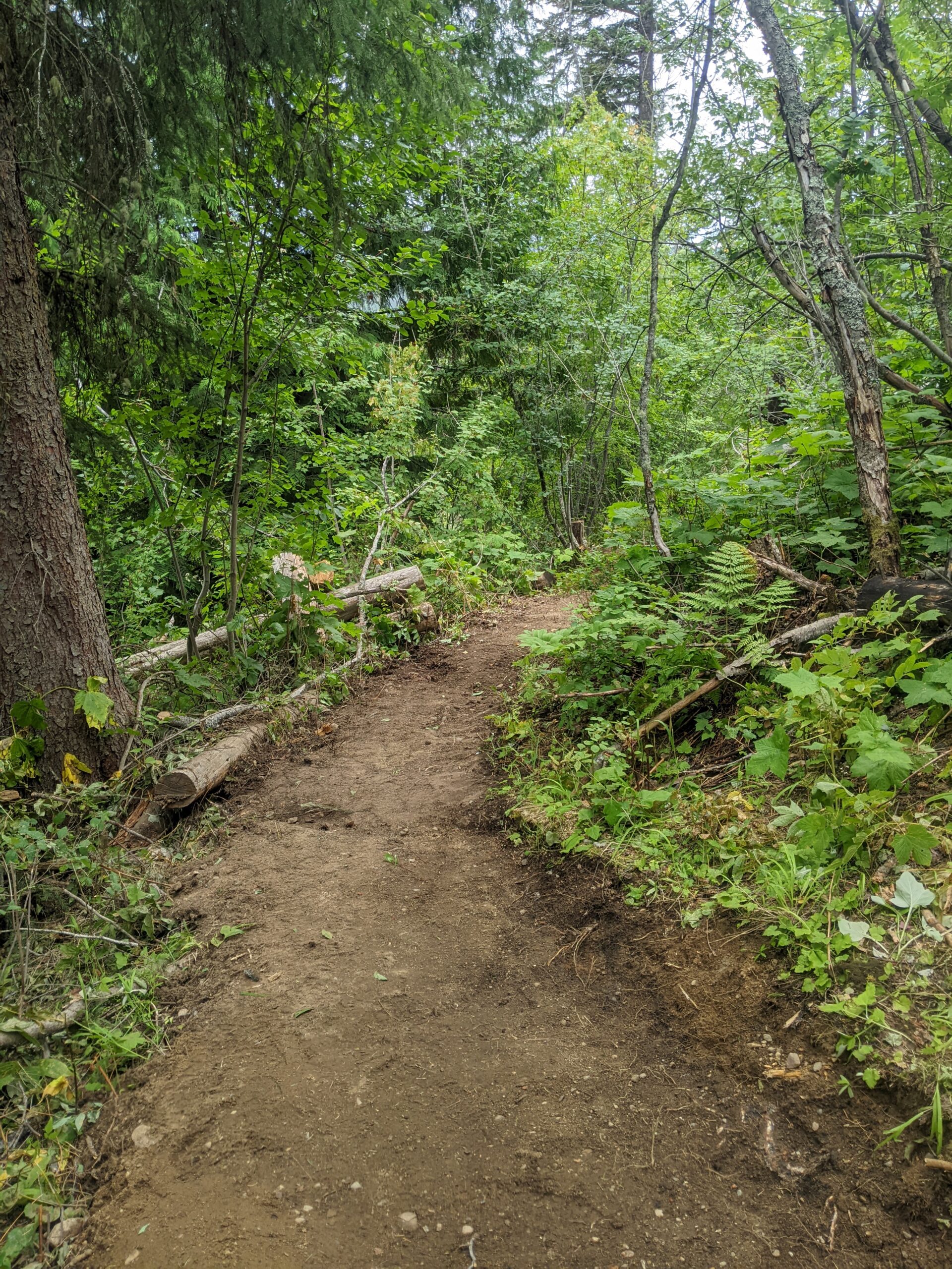 Spanky's (Upper BX) Trail