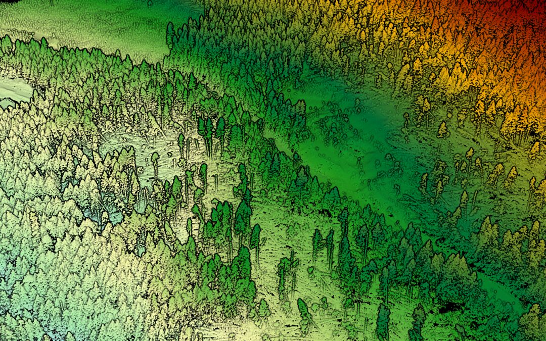 LiDAR Surveying