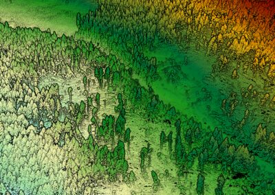 LiDAR Surveying