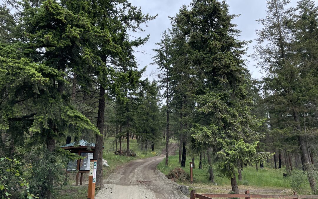 Rose Valley Salvage Logging AOA
