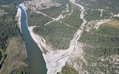 Healing a Broken River