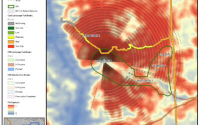 Enhanced Wildfire Modeling