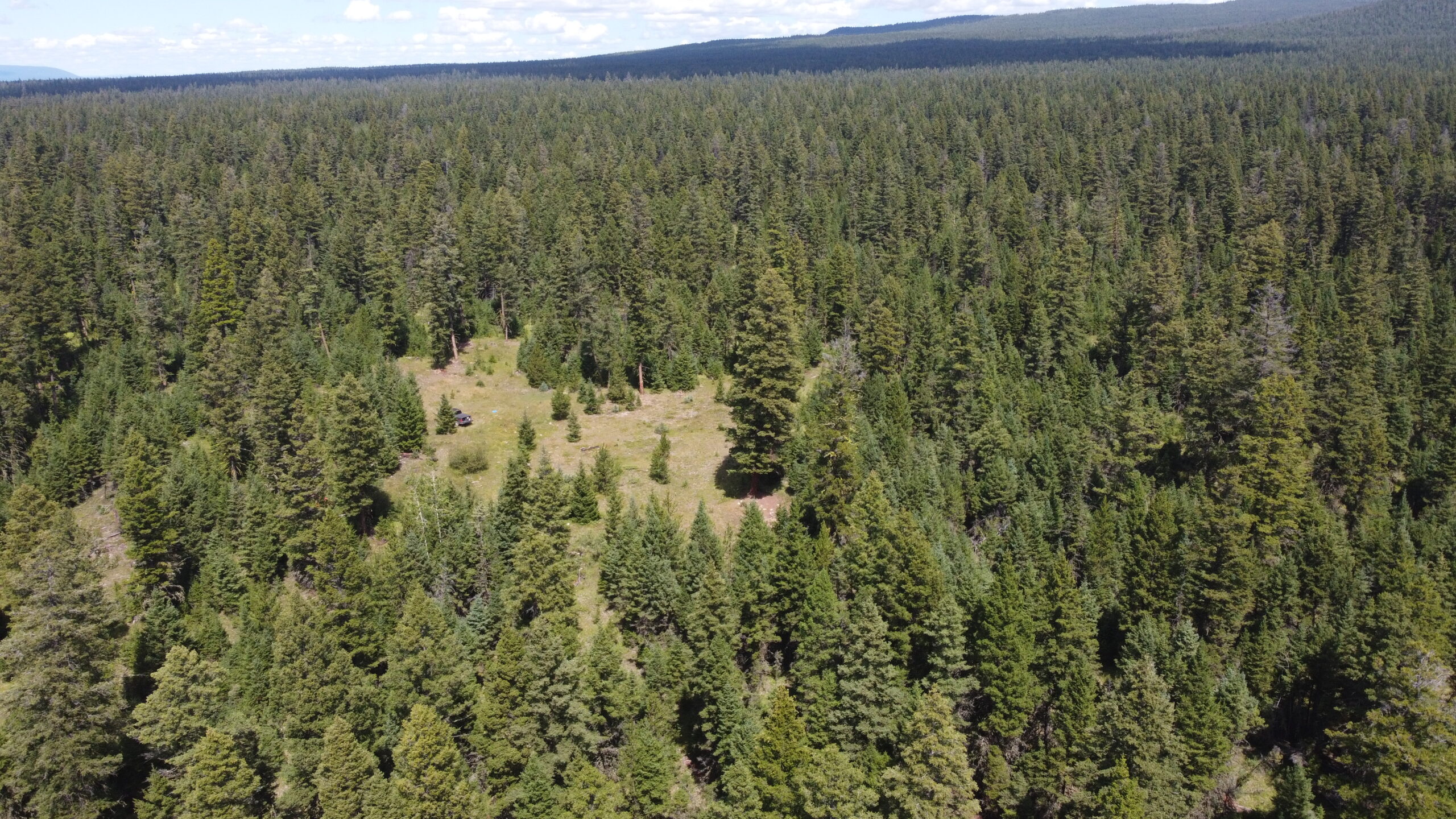 100 Mile House Natural Resource District-Wide Landscape Wildfire Risk Analysis