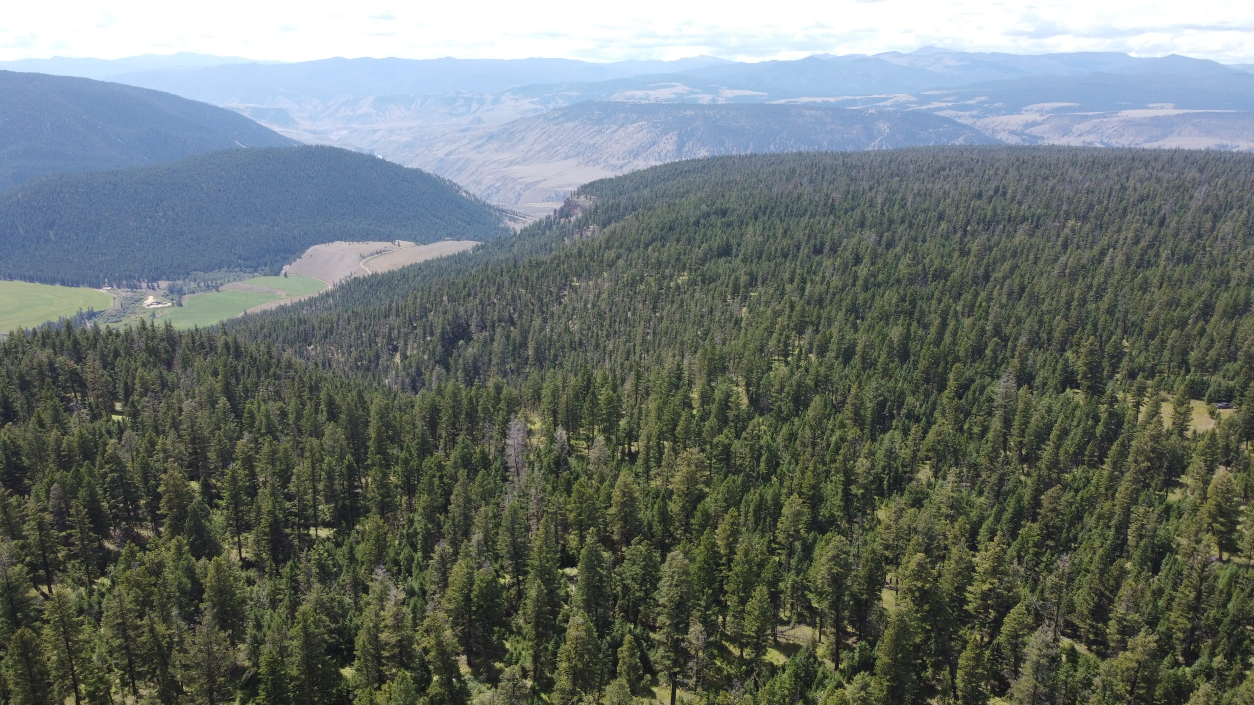 100 Mile House Natural Resource District-Wide Landscape Wildfire Risk Analysis