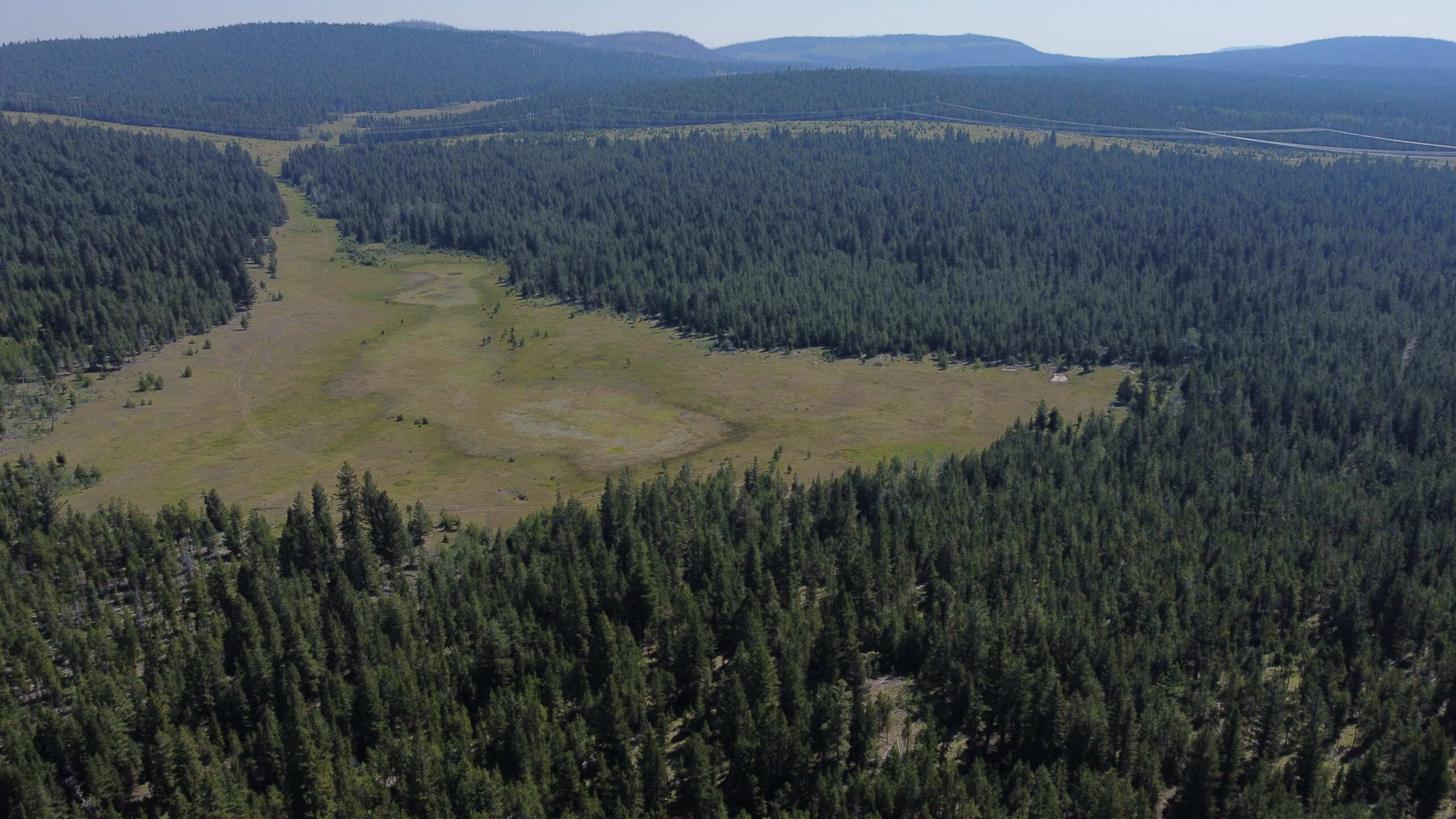 100 Mile House Natural Resource District-Wide Landscape Wildfire Risk Analysis